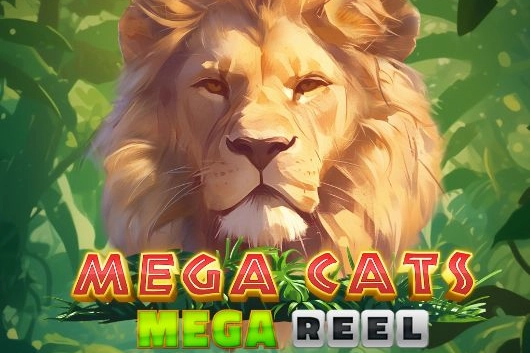 Mega Cats Mega Reel