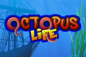 Octopus Life