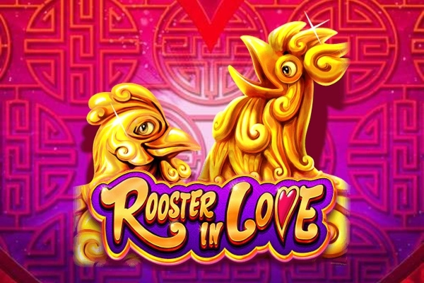 Rooster in Love