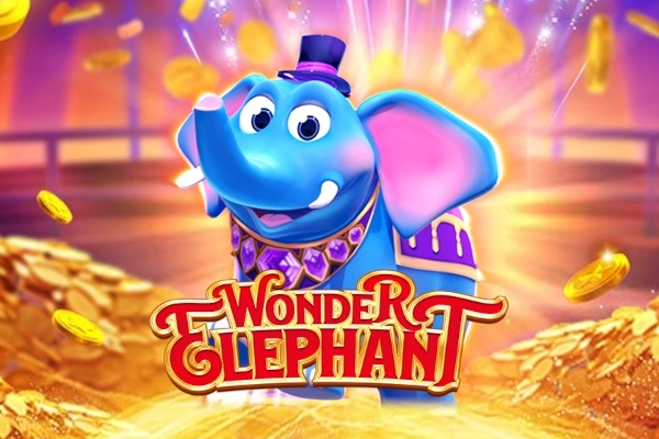 Wonder Elephant