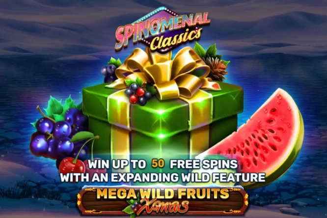 Mega Wild Fruits - Xmas